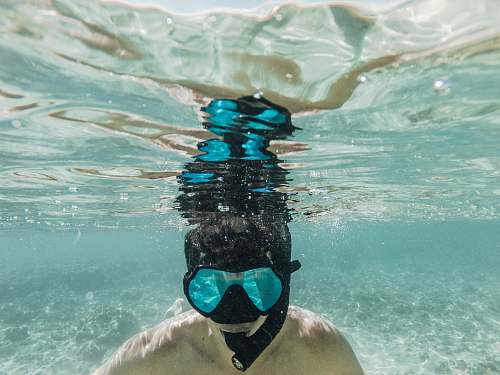 water underwater photography of person diving honolulu